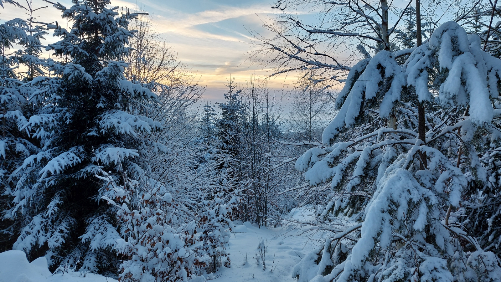 Winter in Flossenbürg Panoramaweg HK 2021-12-10